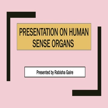 Rabisha Gaire Presentation on human sensory organs.pptx