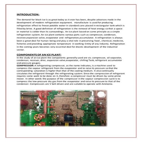 ice plant factory report | DOCX