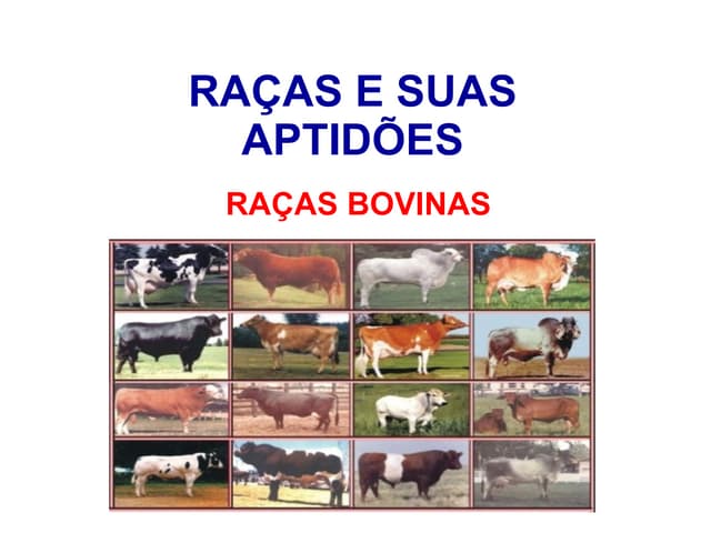 Raças de Bovinos, Caprinos, Ovinos,...