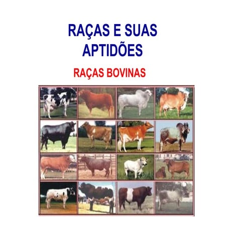 Racas bovinas