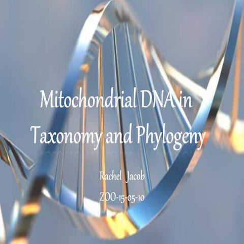 Mitochondrial DNA in Taxonomy and Phylogeny