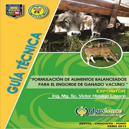 RACIÓN PARA GANADO DE ENGORDE