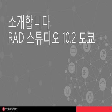 RAD Studio 10.2 도쿄