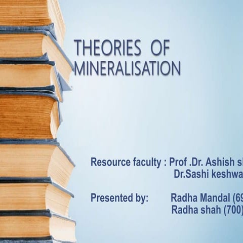 Theories of Mineralisation
