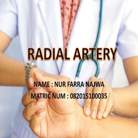Radial artery 