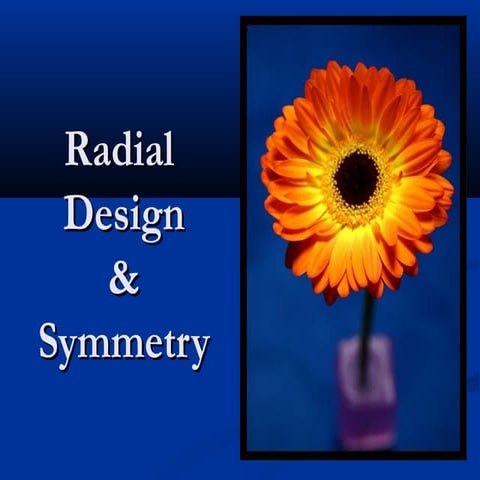 Radial designs 4