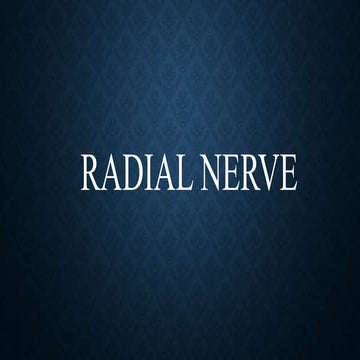 Radial Nerve.pptx