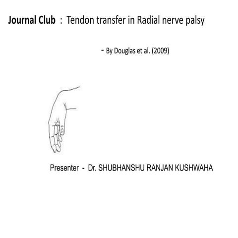 Radial nerve tendon