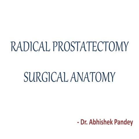 Radical prostatectomy - Surgical anatomy