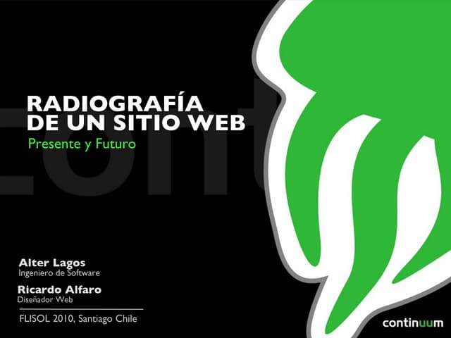 Radiografía de un Sitio Web