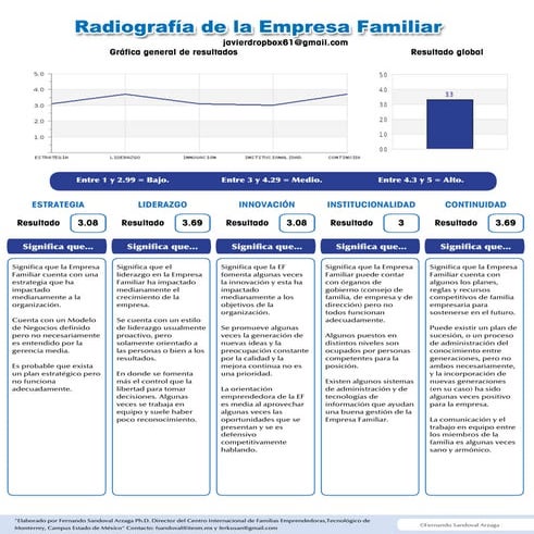 Radiografia de la empresa familiar | PDF