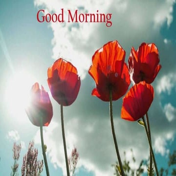 Radiographic aids in Periodontal Diagnosis