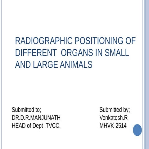 Equine Radiography: Positioning Techniques & Tips for Acquiring Good ...