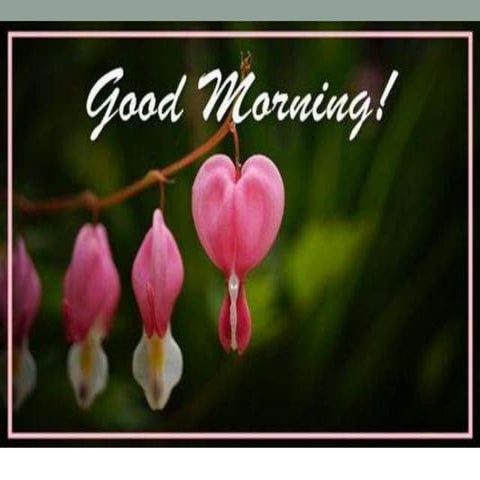 Radiographic quality assurance &amp; infection control