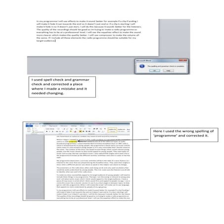 Radio programme evaluation EF | DOCX