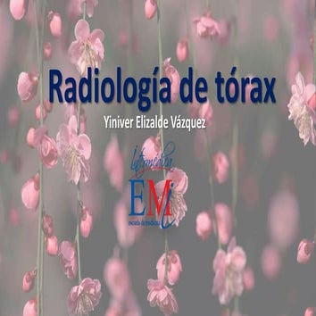 Radiología de tórax, síndromes pleuropulmonares 