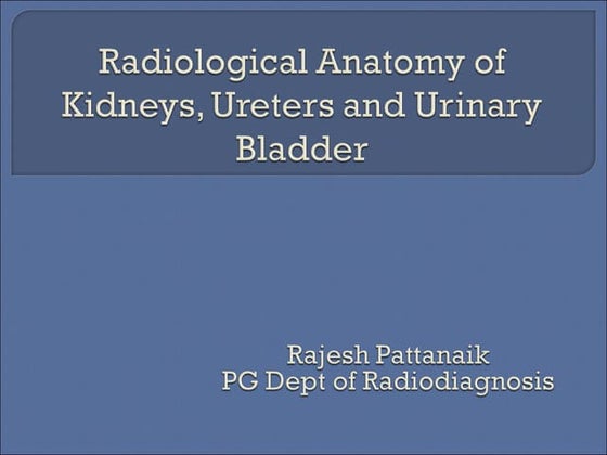 Radiology visual data 2