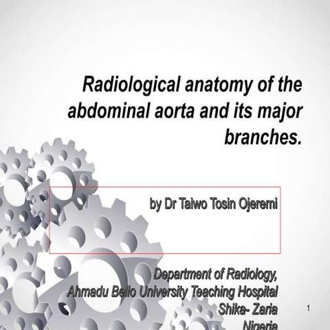 Radiological anatomy of the abdominal aorta