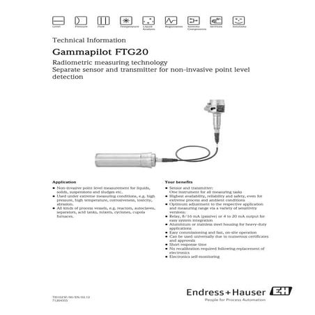 Radiometric measuring technology-Gammapilot FTG20