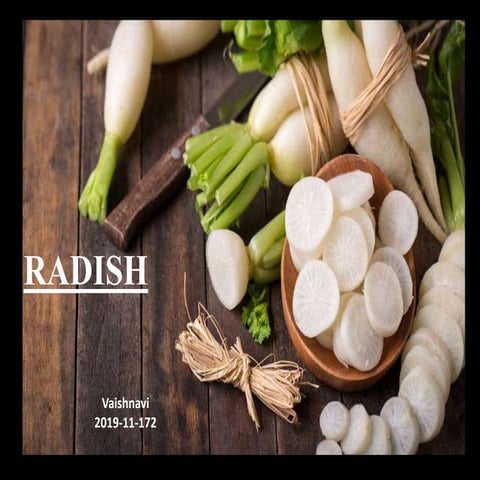 Radish