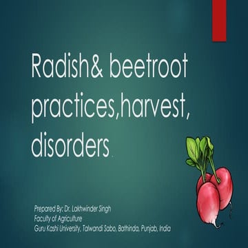 Radish& beetroot.pptx for B.sc Agriculture Students for Subject PTVS