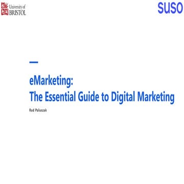 The Essential Guide to Digital Marketing - Rad Paluszak