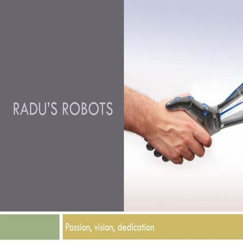 Radu’S Robots