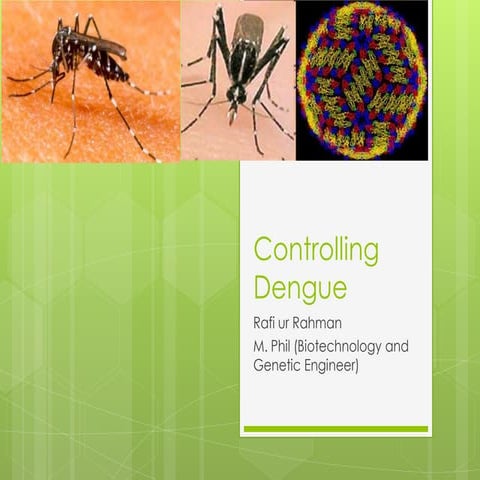 Dengue control programme kma 7 oct. copy | PPTX