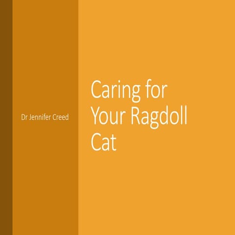 The Basics of the Ragdoll Cat Breed | PPTX