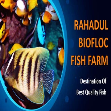 RAHADUL BIOFLOC FISH FARM.pptx