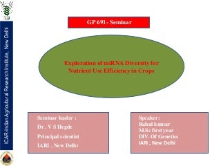 Role of miRNA for Nutrient Use Efficiency in crops