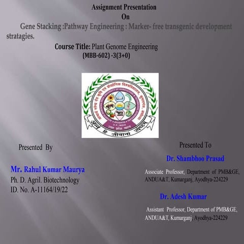 Rahul ppt Gene Stacking.pptx