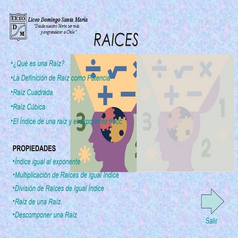 Raices