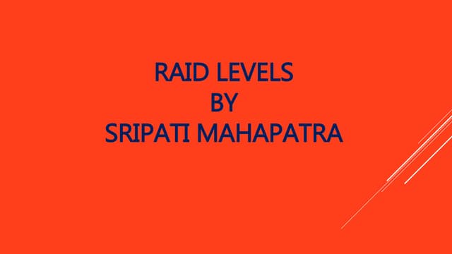 Raid Levels