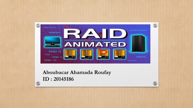 Raid 