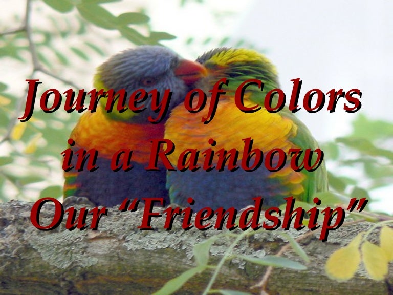 Rainbow Colors of Friendship