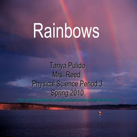 Rainbows Tanya Pulido