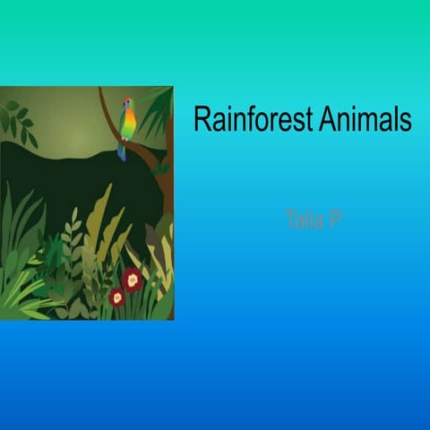 Rainforest Animals | PPT