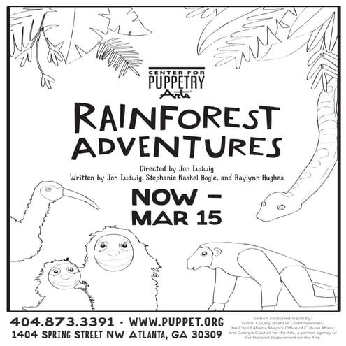 Rainforest Activity Sheet | PDF