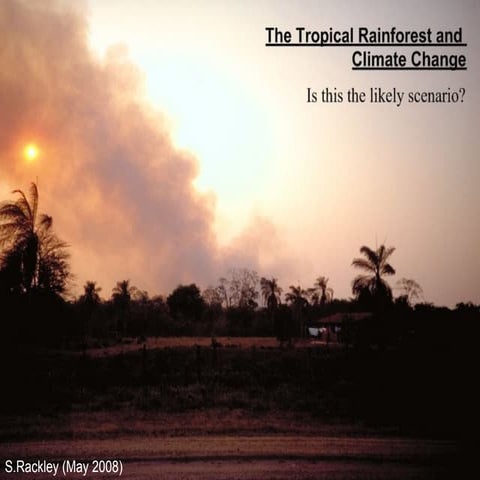 Rainforests & Climate Change