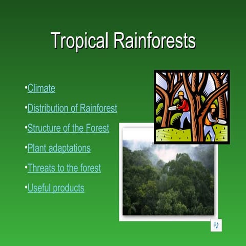 rainforests_coghjjjjjjjjmmmjjjjjjjfyjkpy.ppt