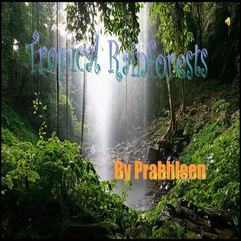 Rainforest Tasks by Prabhleen