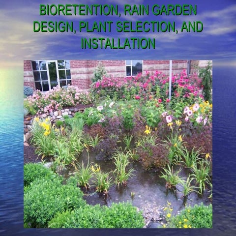 Rain gardens and bio retention