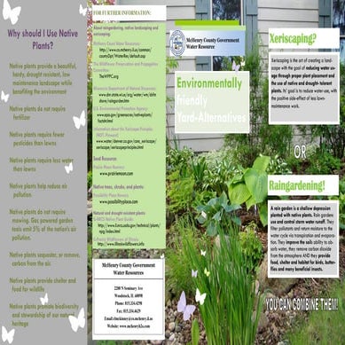 Environmentally Friendly Yard Alternatives