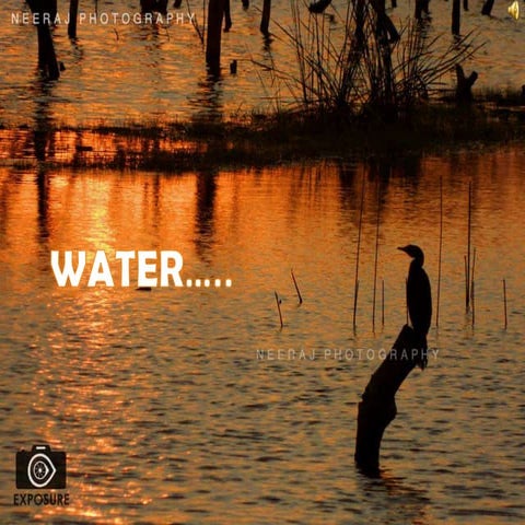 Rainwater Harvesting