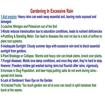 pest and disease management in vegetables during rainy season