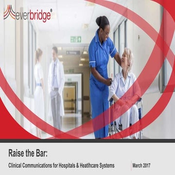 Raise the bar webinar   3.21.17 final