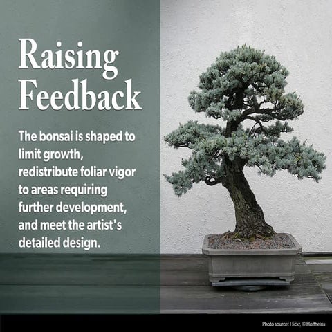 Raising feedback