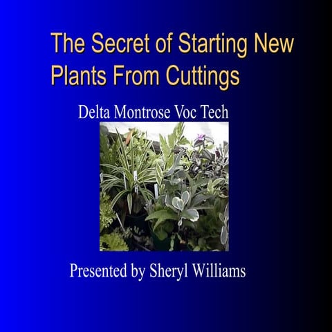 Raising New Plants Through Cuttings 2002