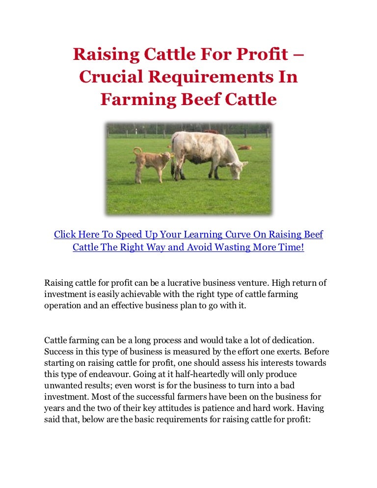 Raising Cattle For Profit Crucial Requirements In Farming Beef Catt…